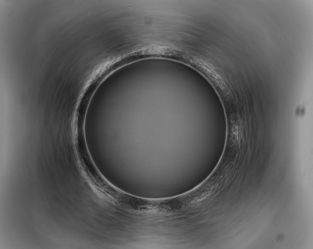 X0000099290678200805021232