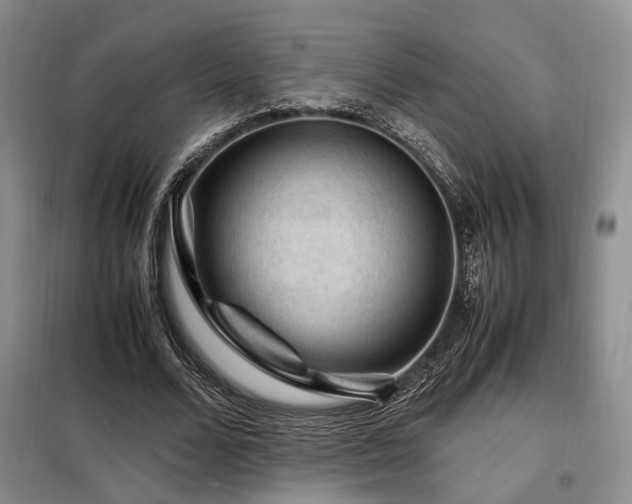 X0000099290680200805021232