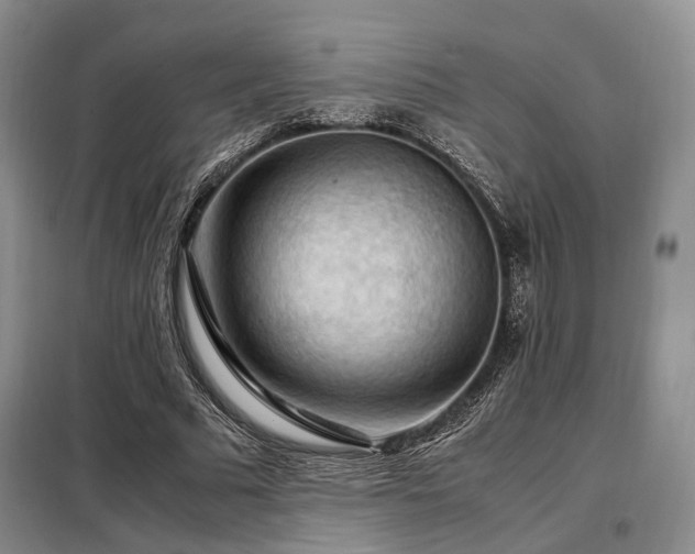 X0000099290681200805021232