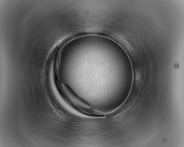 X0000099290684200805021232