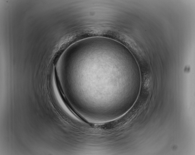 X0000099290685200805021232
