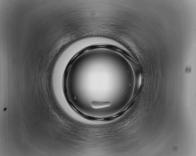 X0000099290687200805021232