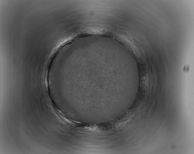 X0000099290688200805021232