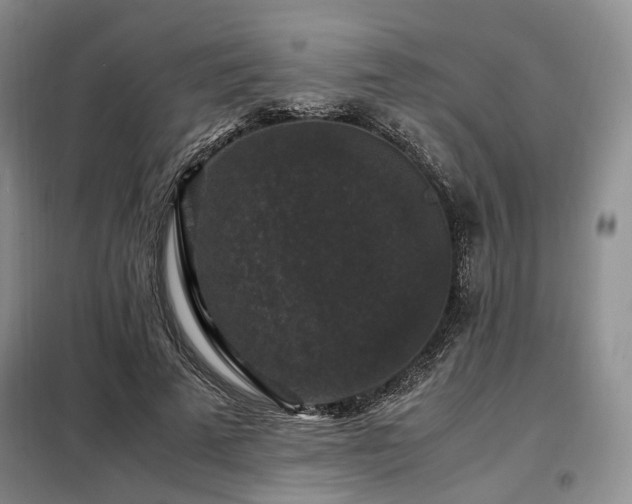 X0000099290689200805021232