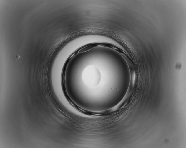 X0000099290692200805021232