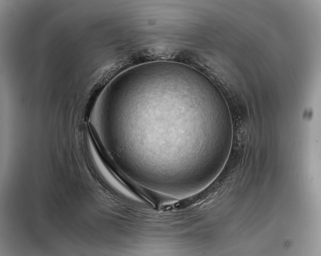 X0000099290693200805021232