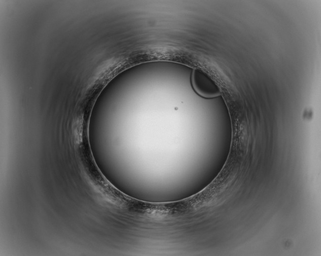 X0000099290694200805021232