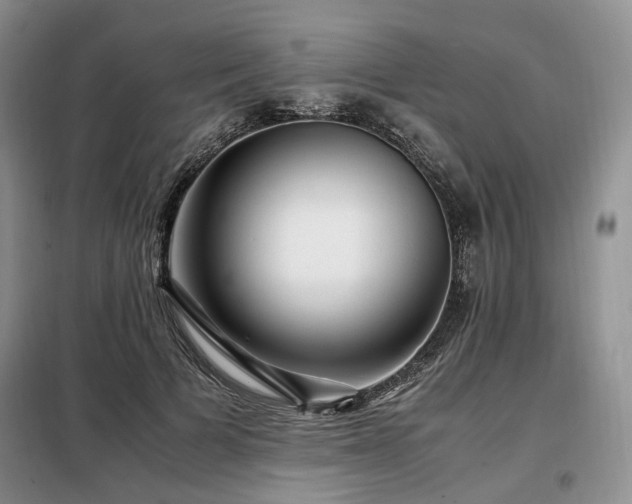 X0000099290697200805021232