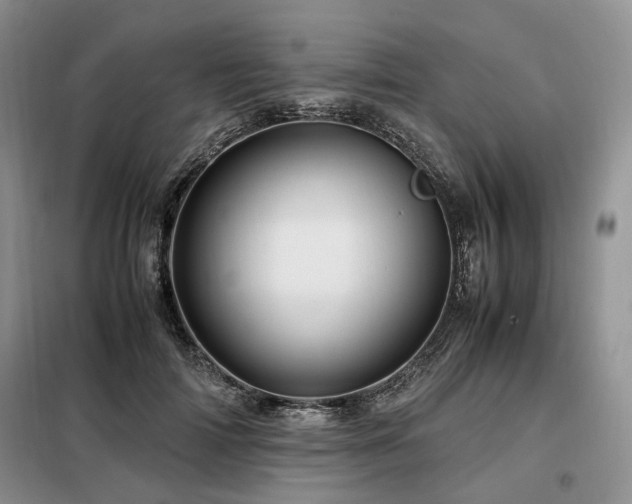 X0000099290698200805021232
