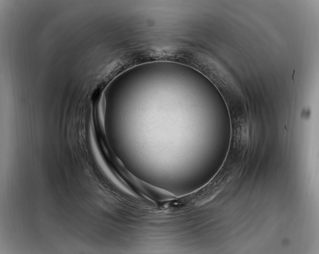 X0000099290700200805021232