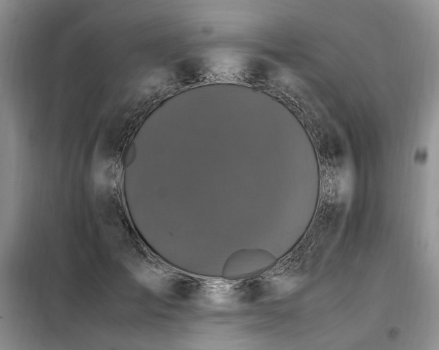 X0000099290701200805021232