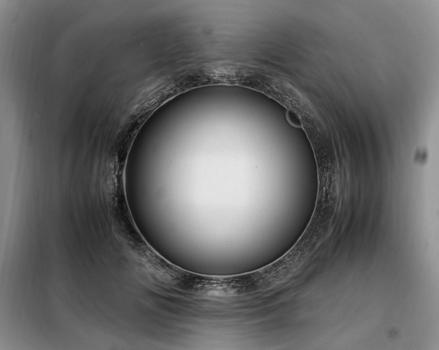 X0000099290702200805021231
