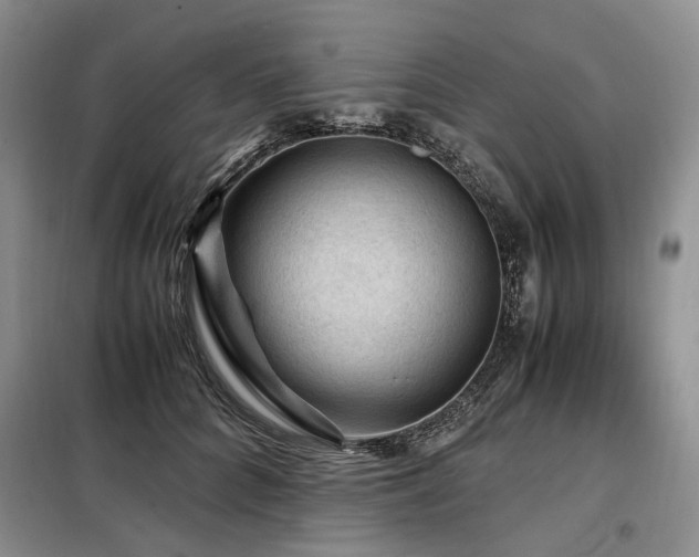 X0000099290704200805021231