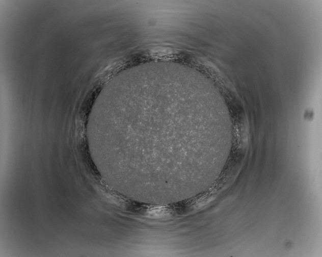 X0000099290705200805021231
