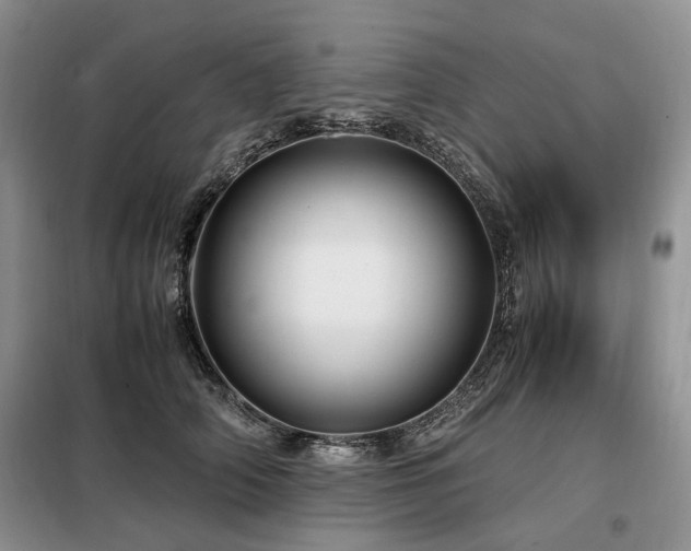 X0000099290706200805021231