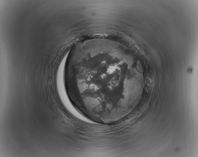 X0000099290707200805021231