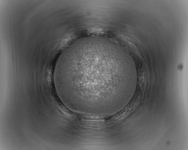 X0000099290708200805021231