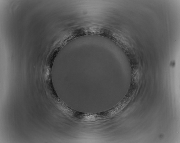X0000099290709200805021231