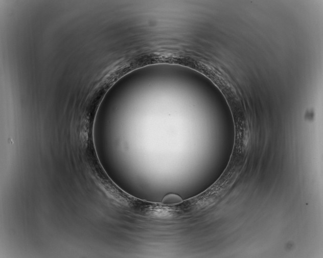 X0000099290710200805021231