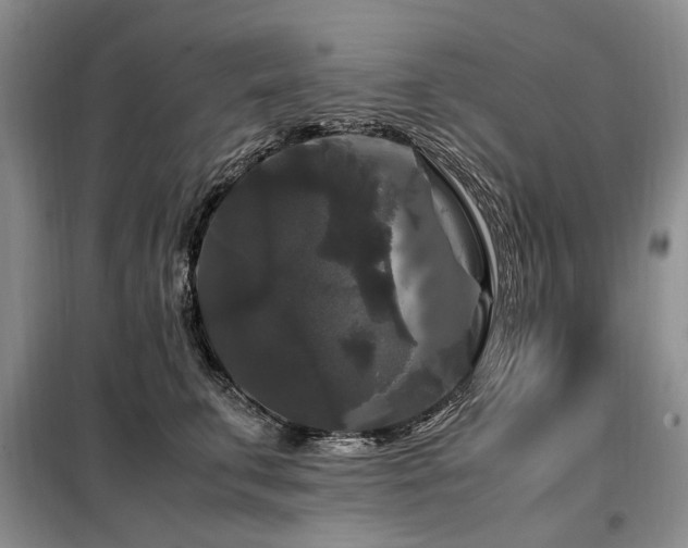 X0000099290711200805021231