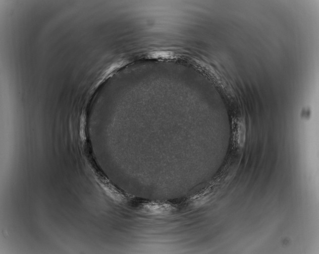 X0000099290712200805021231