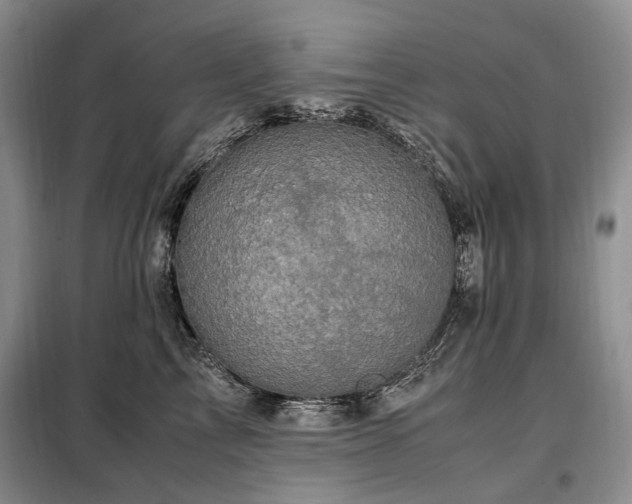 X0000099290713200805021231