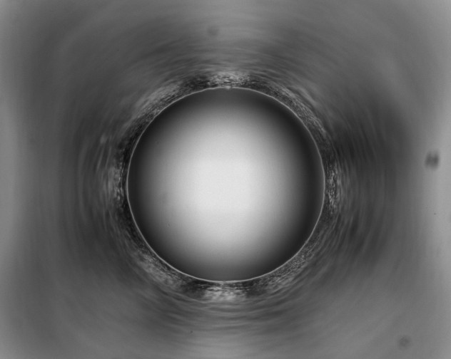 X0000099290714200805021231