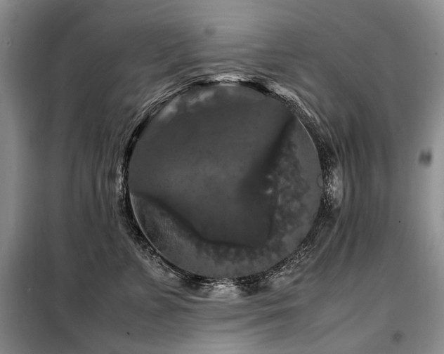 X0000099290715200805021231