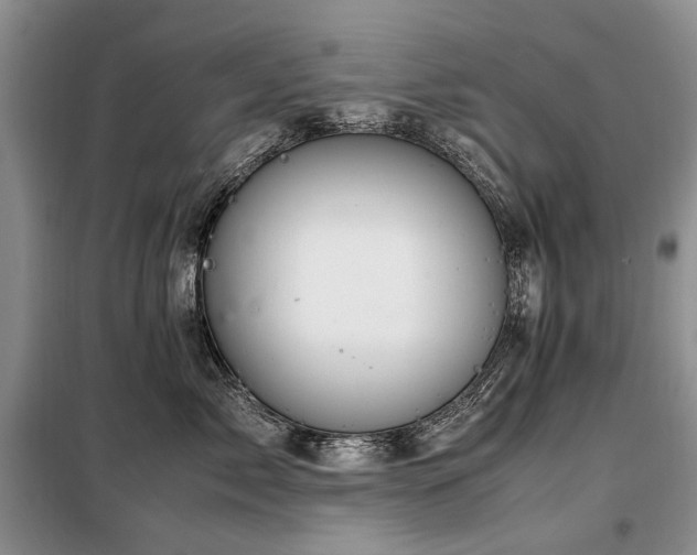X0000099290717200805021231