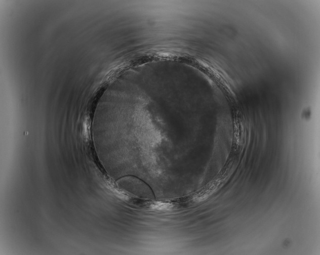 X0000099290718200805021231