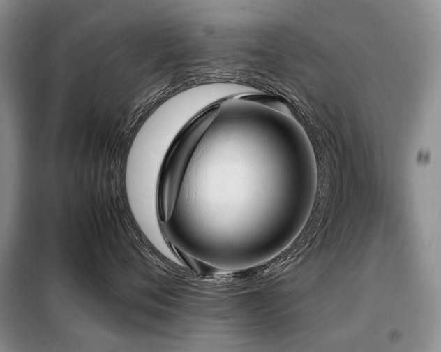 X0000099290720200805021231