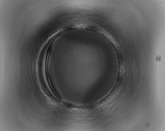 X0000099290722200805021231