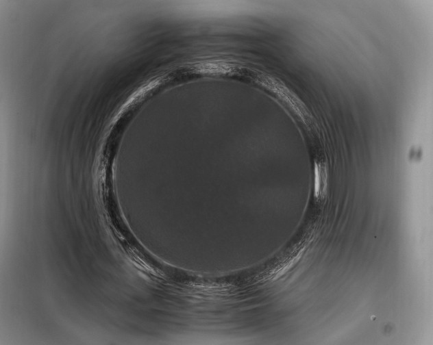 X0000099290723200805021231