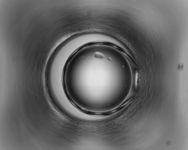 X0000099290726200805021231