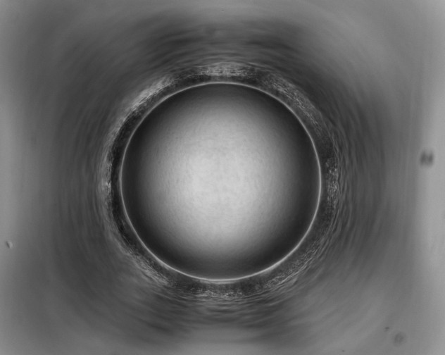 X0000099290727200805021231