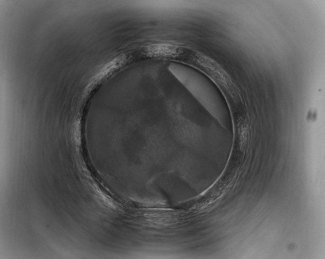 X0000099290729200805021231