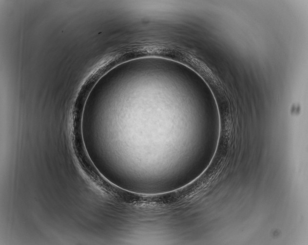 X0000099290730200805021231