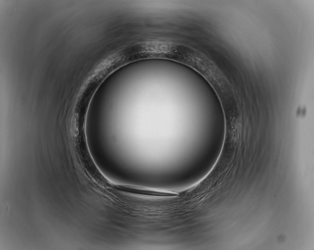 X0000099290731200805021231