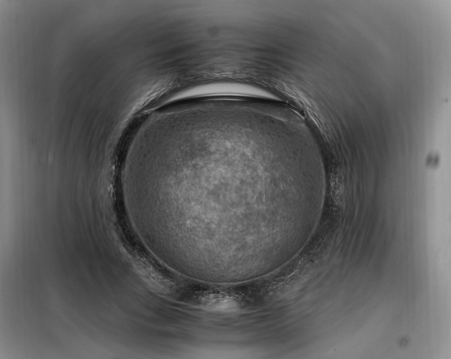 X0000099290735200805021231