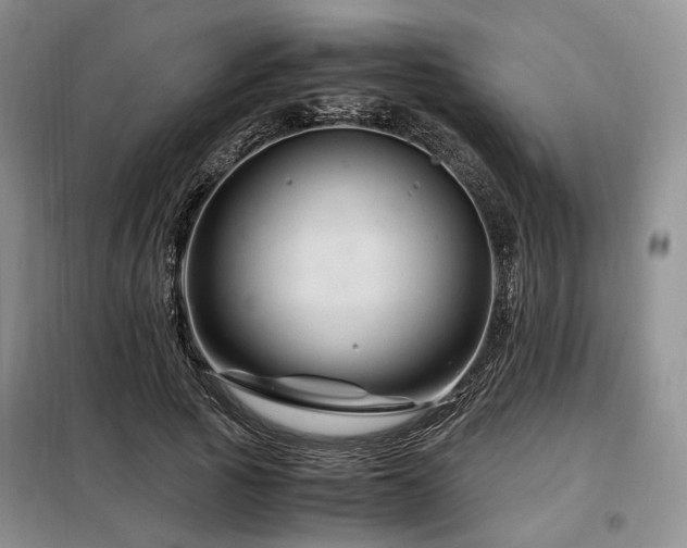 X0000099290737200805021231