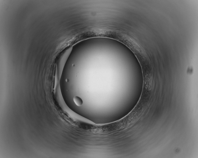 X0000099290740200805021231