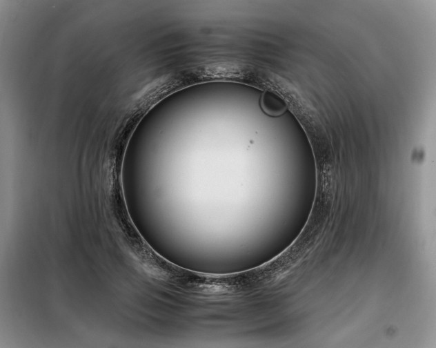 X0000099290741200805021231