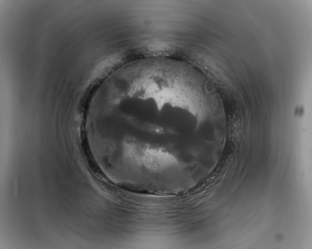 X0000099290742200805021231