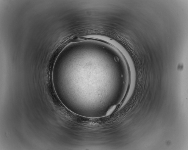 X0000099290743200805021231
