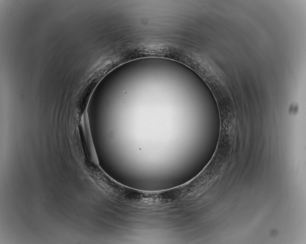 X0000099290744200805021231