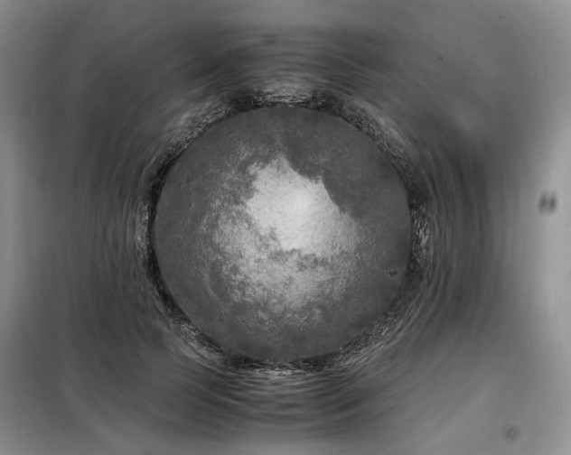 X0000099290745200805021231
