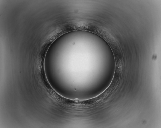 X0000099290746200805021231