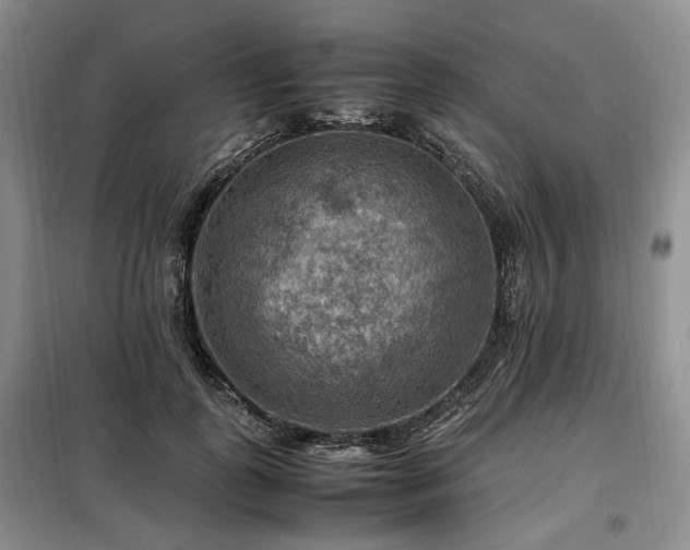 X0000099290747200805021231