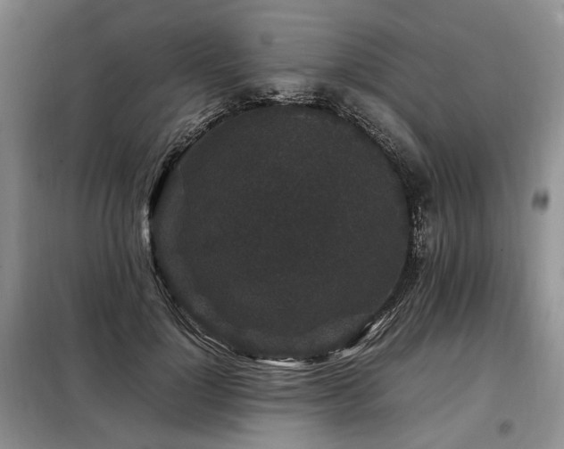 X0000099290748200805021231