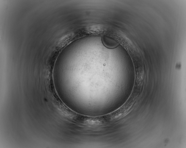 X0000099290749200805021231